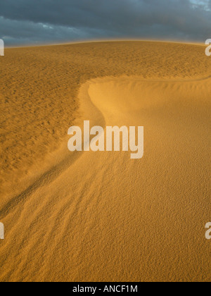Parco Nazionale Medanos di coro, Falcon, Venezuela Foto Stock