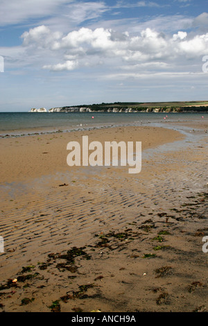 Old Harry Rocks, Swanage, Dorset, Inghilterra, Regno Unito da Studland beach Foto Stock