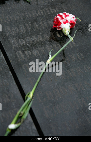 Rosa rossa posta sulla guerra in Afghanistan Memorial, Shevchenko Park, Odessa, Ucraina. Foto Stock