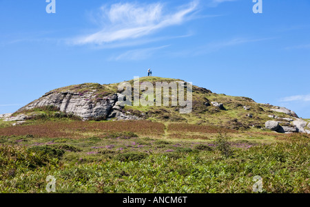 Sella Tor su Dartmoor Devon England Regno Unito Foto Stock