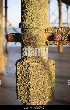 Ghisa colonna sotto Bognor Pier Foto Stock