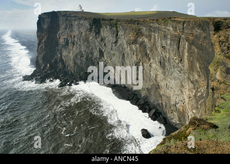 Mare basaltica scogliere Dyrholaey Islanda Foto Stock