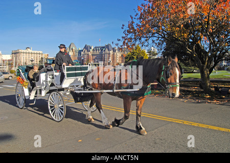 Carro trainato da cavalli Victoria Vancouver Island BC Foto Stock