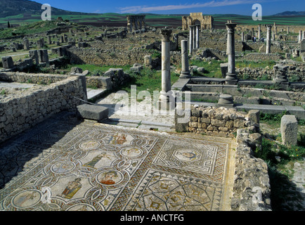 Mosaico di quattro stagioni alla casa di Dioniso a Volubilis Marocco Foto Stock