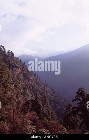 Valle sul sentiero per Tsokha, Sikkim, India Foto Stock