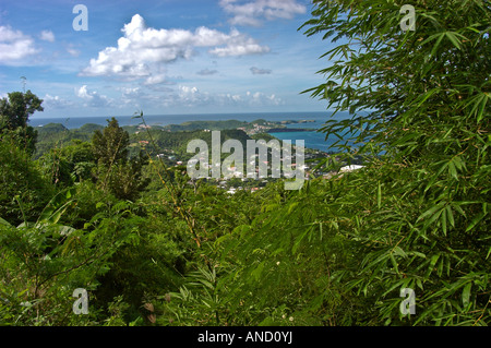Vista su San Georges da Fort Frederick, Grenada, dei Caraibi Foto Stock