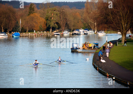 Canottaggio sul fiume Tamigi a Henley-on-Thames, Regno Unito Foto Stock