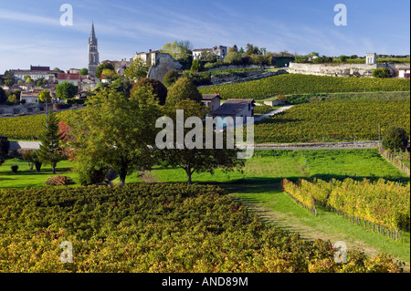 Vigneti in autunno St Emilion Gironde le Parco Bordelais Francia Foto Stock