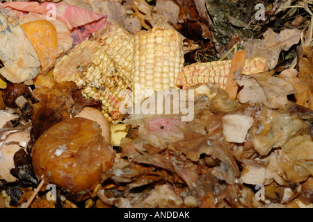 Il compostaggio o cucina midden Foto Stock