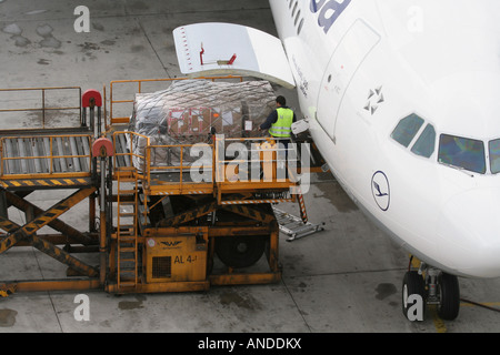 Caricamento di carichi aerei a bordo di un aereo commerciale a reazione. Reti internazionali di servizi di trasporto merci e catene di fornitura globali. Foto Stock