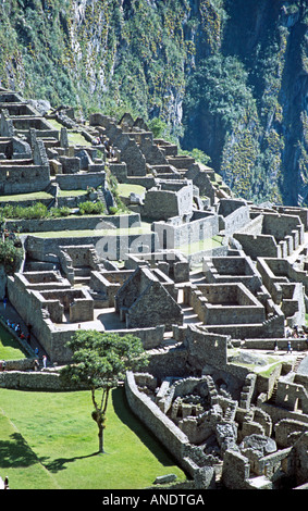 Affacciato su rovine Inca a base di Huayna Picchu, Machu Picchu, Perù Foto Stock