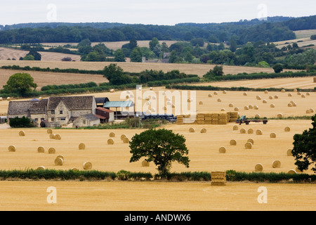 Le balle di paglia e una fattoria in Cotswolds a Swinbrook in Oxfordshire, Regno Unito Foto Stock