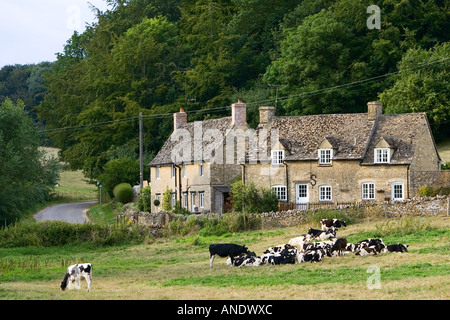 Pittoreschi cottage e mucche frisone Swinbrook Cotswolds Oxfordshire, Regno Unito Foto Stock