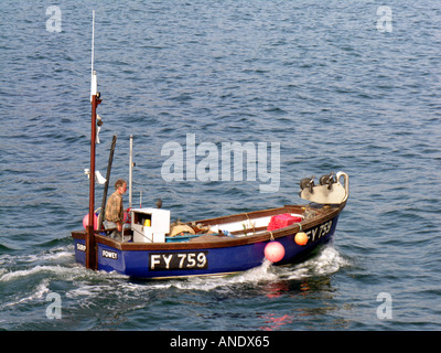 Porto MEVAGISSEY Cornwall Inghilterra UK Europa Foto Stock