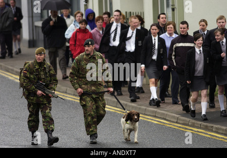 Le truppe britanniche con Springer Spaniel esplosiva cane poliziotto di pattuglia di Omagh Irlanda del Nord Foto Stock