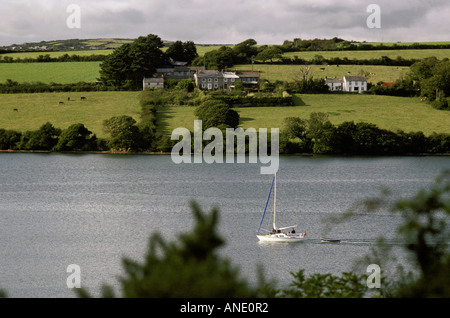 Barca a vela sul fiume Helford Cornwall Regno Unito Foto Stock