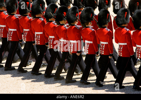 Guardie reciti parata militare con fucili SLR London Regno Unito Foto Stock