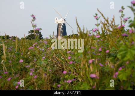 Il National Trust Tower Mulino a vento vicino a Wells accanto il mare Norfolk Regno Unito Foto Stock