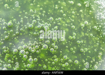 Bolle nella sostanza verde, full frame Foto Stock