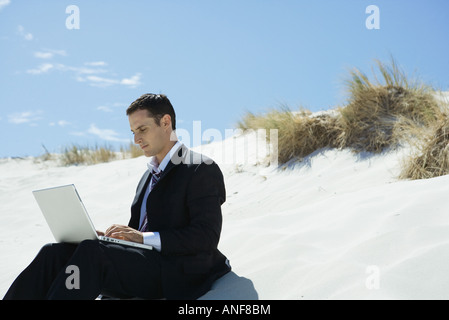 Imprenditore Seduti sulle dune di sabbia, utilizzando laptop Foto Stock