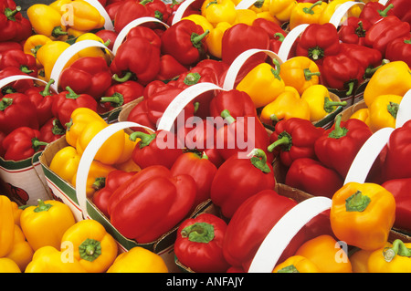 I peperoni in un mercato di Kitchener, Kitchener, Ontario, Canada. Foto Stock