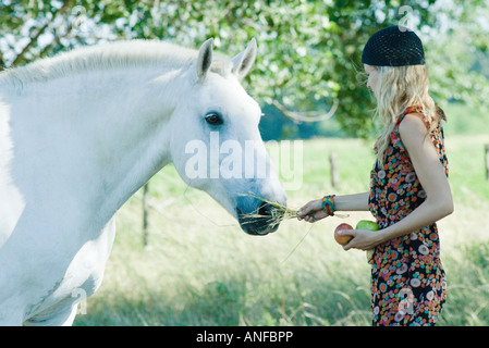 Giovane donna cavallo di alimentazione, tenendo il fieno e mele Foto Stock