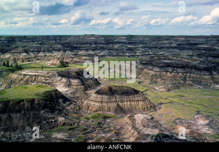 Horseshoe Canyon, il Badlands, Drumheller, Alberta, Canada Foto Stock