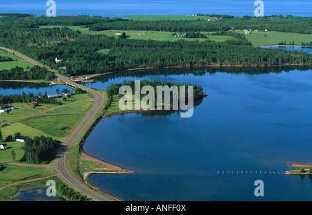 Antenna di Pinette Parco Provinciale, Prince Edward Island, Canada Foto Stock