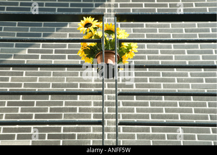 Fake girasoli appeso sulla ringhiera a basso angolo di visione Foto Stock