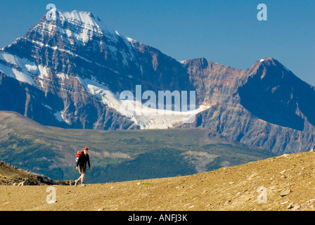 Donna trekking sul Sentiero Skyline con montatura Edith-Cavell in background, il Parco Nazionale di Jasper, Alberta, Canada. Foto Stock