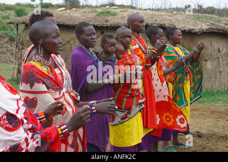 Le donne Masai che in abito tradizionale eseguire benvenuti ballare e cantare in villaggio Masai Mara Kenya Africa orientale Foto Stock