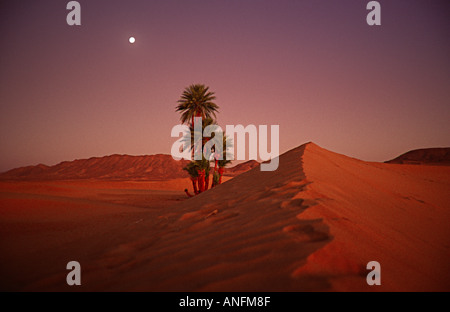 Luna crescente nel deserto. Il Marocco Foto Stock