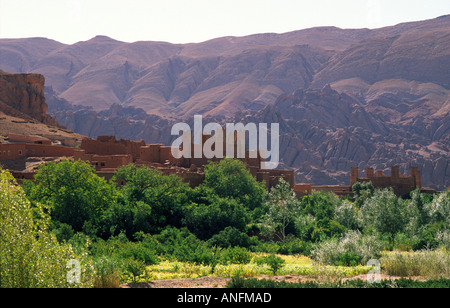 Splendida vista di una kasbah in un lussureggiante gola di wadi (river valley) con uno sfondo di montagne viola nella Valle du Dades, sud del Marocco Foto Stock