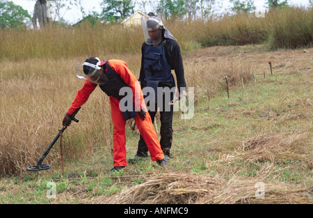 Un tirocinante, con un esperto di mine antiuomo della Halo Trust, imparerà a individuare le mine antiuomo da sradicare dopo la guerra civile. Zambezia, Mozambico Foto Stock