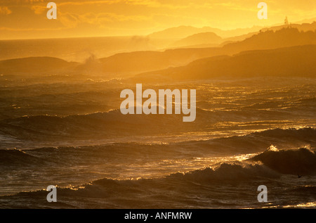 Shelldrake, Noth riva del Golfo di San Lorenzo, Quebec, Canada. Foto Stock