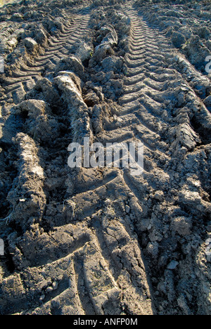Campo Arato e pneumatico del trattore le vie, Boussay, Indre et Loire, Francia. Foto Stock