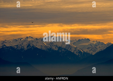 Montagne Olimpiche al tramonto, Victoria, British Columbia, Canada. Foto Stock