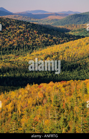 Sunrise, Mount Bailey si affacciano, Monte Carleton Provincial Park, New Brunswick, Canada. Foto Stock
