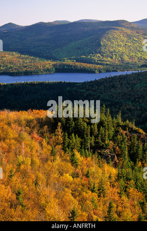 Sunrise, Mount Bailey si affacciano, Monte Carleton Provincial Park, New Brunswick, Canada. Foto Stock