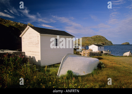 Porto di nero, Twillingate. Terranova e Labrador, Canada. Foto Stock