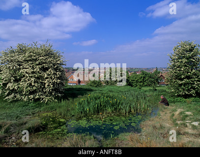 Stagno in Greenspace urbano con la persona, Dudley, West Midlands, Inghilterra Foto Stock