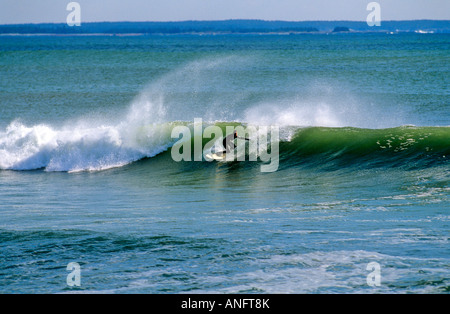 Surfer a Lobster Cove nel Parco Nazionale Gros Morne, Terranova, Canada Foto Stock