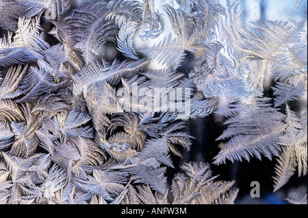 I cristalli di ghiaccio sul vetro in inverno, Canada. Foto Stock