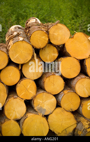 Struttura impilata registra nei pressi di Torsby nella contea di Varmland Svezia Foto Stock