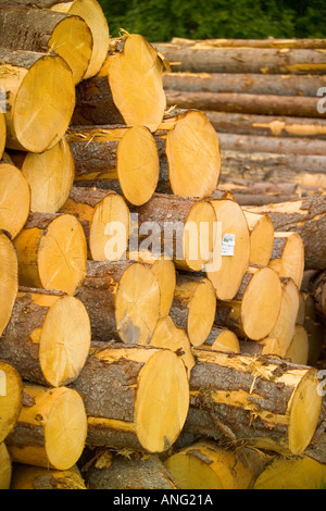 Struttura impilata registra nei pressi di Torsby nella contea di Varmland Svezia Foto Stock