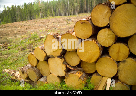 Struttura impilata registra nei pressi di Torsby nella contea di Varmland Svezia Foto Stock