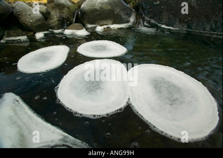 Un parzialmente congelati nel fiume Easedale vicino a Grasmere nel Distretto del Lago durante un freddo snap Foto Stock