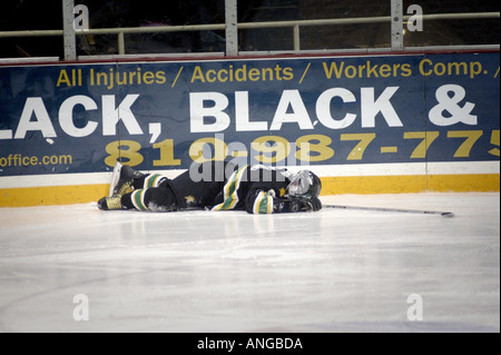 Ice hockey tournament Action Stick argento internazionale playoff di Hockey a Port Huron Michigan Foto Stock