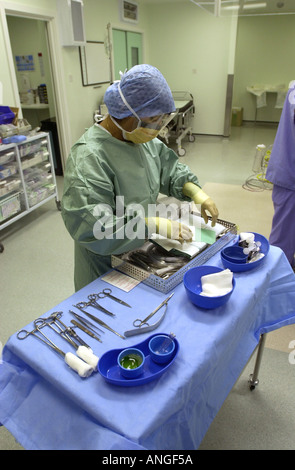 L'infermiera vestito in scrubs prepara apparecchiature per la chirurgia del team UK Foto Stock