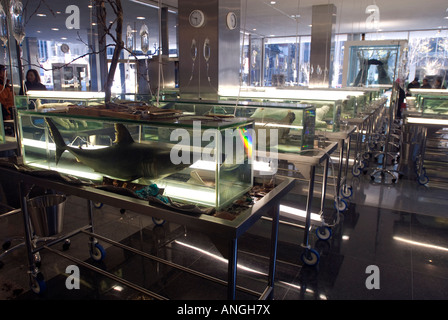 La scuola di Archeologia di perso desideri comprendere infinito e la ricerca della conoscenza dell'artista Damien Hirst Foto Stock